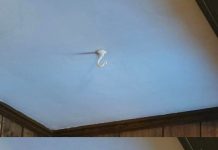 Revive Your Living Space With This Sensational Time-Travel Hack!