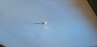 Revive Your Living Space With This Sensational Time-Travel Hack!