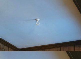 Revive Your Living Space With This Sensational Time-Travel Hack!