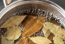 Natural Solutions to Banish Pests: Say Goodbye to Flies, Mosquitoes, and Cockroaches