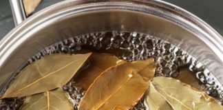 Natural Solutions to Banish Pests: Say Goodbye to Flies, Mosquitoes, and Cockroaches