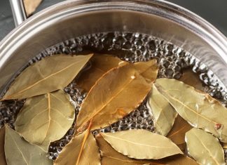 Natural Solutions to Banish Pests: Say Goodbye to Flies, Mosquitoes, and Cockroaches