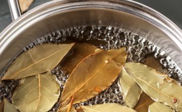 Natural Solutions to Banish Pests: Say Goodbye to Flies, Mosquitoes, and Cockroaches