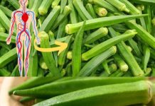 5 Amazing Okra Benefits You Can’t Ignore