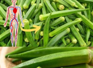 5 Amazing Okra Benefits You Can’t Ignore