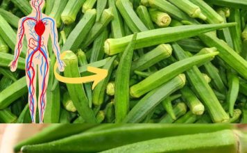 5 Amazing Okra Benefits You Can’t Ignore
