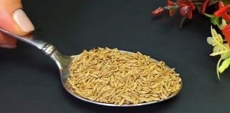 I Couldn’t Walk and Now I Run Like a Young Girl! Only 1 Tbsp. and You Lose Weight! Cumin and Grated Ginger