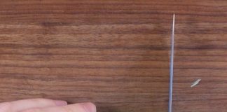 As it gets warmer, I gotta share my go-to hack to keep all the flies, mosquitoes, and bugs away