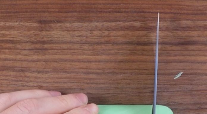As it gets warmer, I gotta share my go-to hack to keep all the flies, mosquitoes, and bugs away