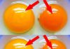 This Is What the Color of Your Egg Yolk Means
