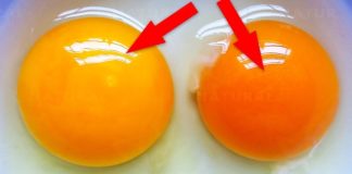 This Is What the Color of Your Egg Yolk Means