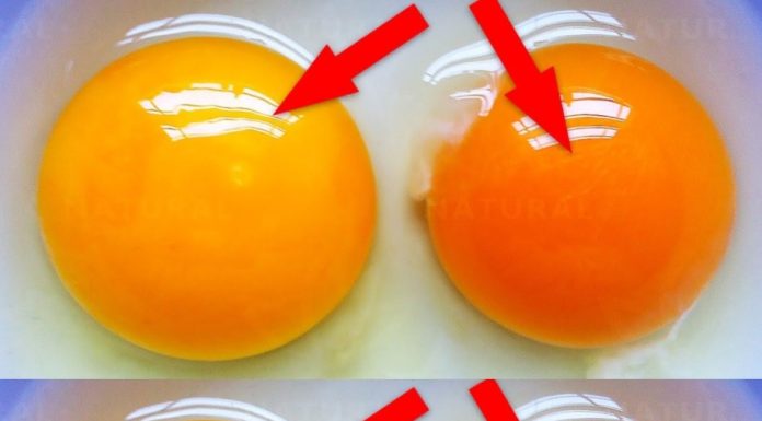 This Is What the Color of Your Egg Yolk Means