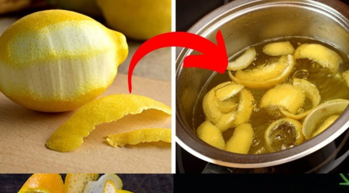 The Most Effective Way to Clear Your Lungs: Cough and Mucus Gone in 3 Days! Lemon Peel Tea
