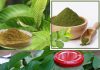 How to Make Guava Leaves Powder
