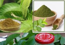How to Make Guava Leaves Powder