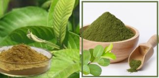 How to Make Guava Leaves Powder