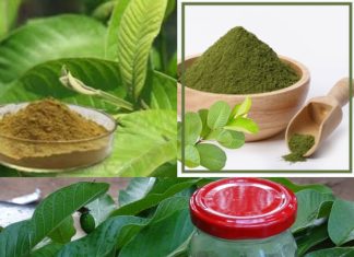 How to Make Guava Leaves Powder