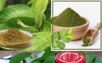 How to Make Guava Leaves Powder