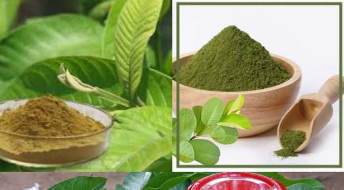 How to Make Guava Leaves Powder