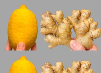 I Have Not Been Sick for 35 Years! Clear Your Lungs and Stop Coughing with Lemon and Ginger!