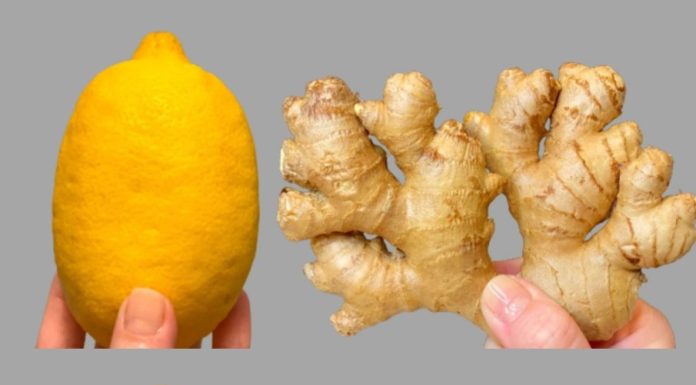 I Have Not Been Sick for 35 Years! Clear Your Lungs and Stop Coughing with Lemon and Ginger!