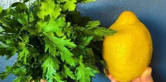 Natural Diuretics Using Parsley and Lemon to Combat Water Retention
