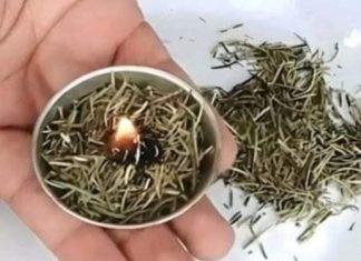 Burn rosemary at home, surprising what happens a few minutes later admin