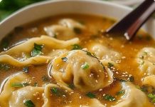 Homemade Wonton Soup Recipe