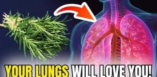 How Rosemary Benefits Respiratory Health