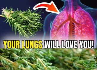 How Rosemary Benefits Respiratory Health
