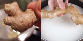 Ginger Tea: A Simple Remedy for Health and Wellness