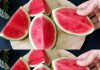 Cleanse Your Kidneys, Liver, and Lungs with Watermelon: A Natural Bacteria Killer