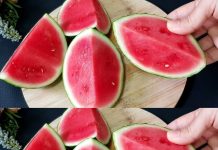 Cleanse Your Kidneys, Liver, and Lungs with Watermelon: A Natural Bacteria Killer