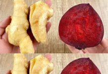 Why Beets and Ginger?