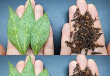 Mix Bay Leaf and Clove Together and You Will Thank Me for This Recipe!