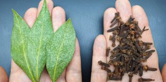 Mix Bay Leaf and Clove Together and You Will Thank Me for This Recipe!