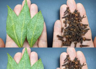 Mix Bay Leaf and Clove Together and You Will Thank Me for This Recipe!