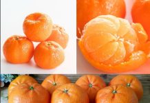 Clean kidney, liver and lungs. The whole bacterium flies out of the body mandarines