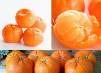 Clean kidney, liver and lungs. The whole bacterium flies out of the body mandarines