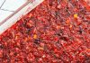 Grandma’s Cranberry Salad: A Nostalgic Holiday Treat