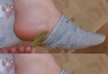 Wake Up Refreshed and Pain-Free with Bay Leaves