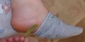 Wake Up Refreshed and Pain-Free with Bay Leaves