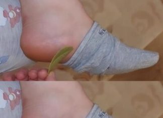 Wake Up Refreshed and Pain-Free with Bay Leaves