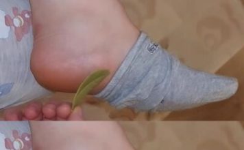 Wake Up Refreshed and Pain-Free with Bay Leaves