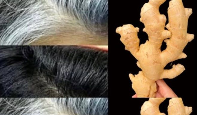 The Power of Ginger for Your Hair