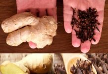 Why Ginger and Cloves?