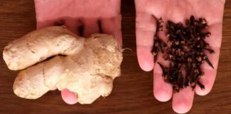 Why Ginger and Cloves?