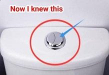 Many People Still Think That These Two Buttons Are Just for Flushing