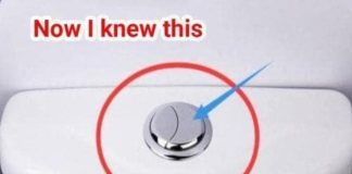 Many People Still Think That These Two Buttons Are Just for Flushing