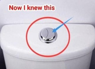 Many People Still Think That These Two Buttons Are Just for Flushing
